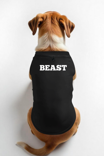 Beauty and the Beast Combo Tshirt